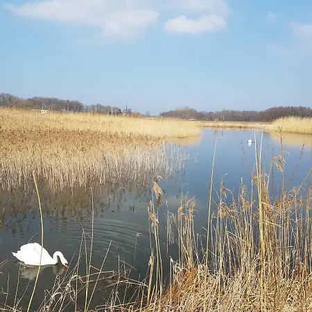 Agroturystyka U Gosi 팜스테이